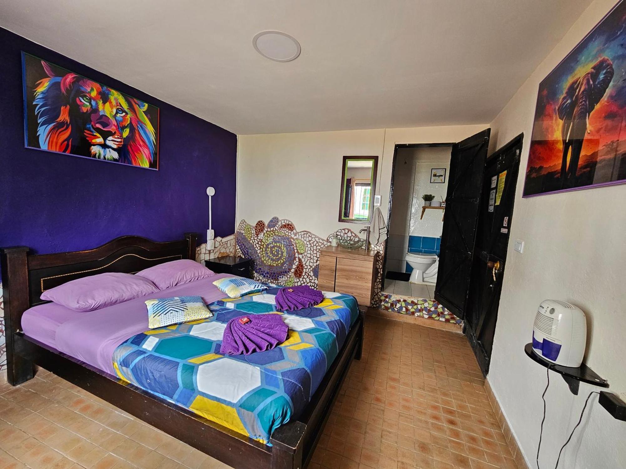 Hostal Bambu San Agustín Екстериор снимка
